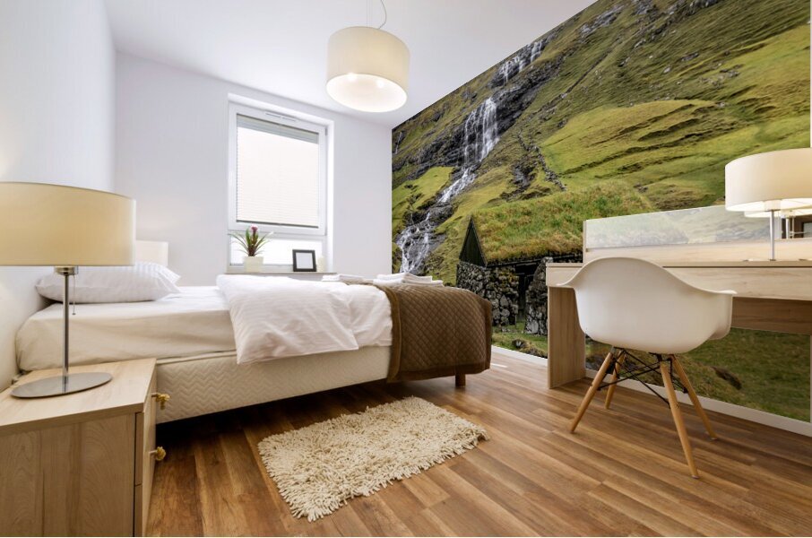 house with green roof  Mural print
