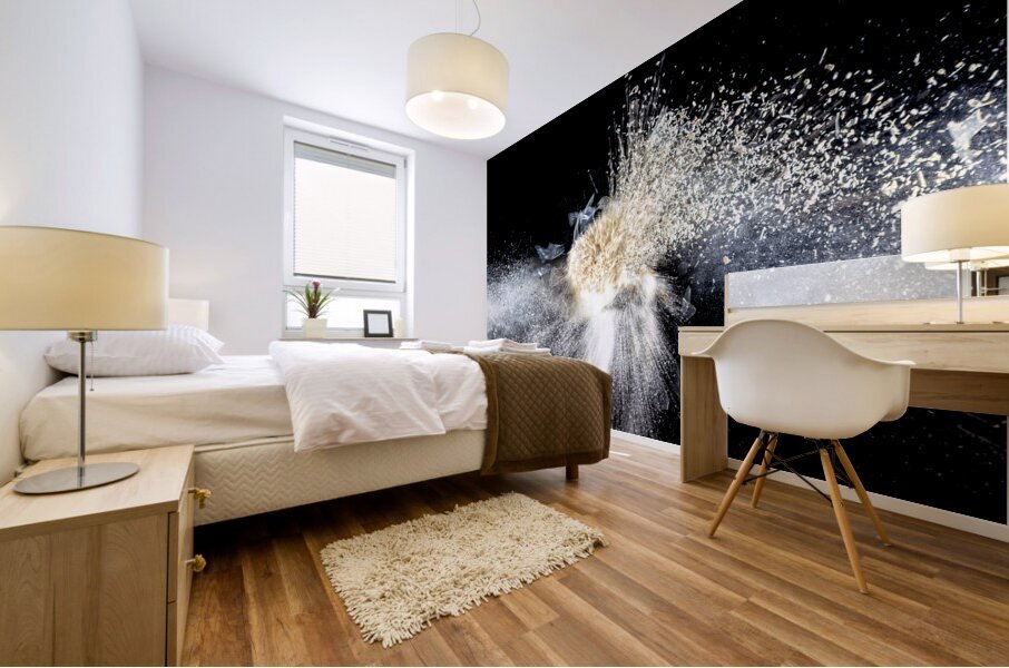 real explosion background Mural print