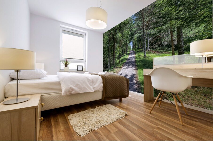sciury pathway view Mural print