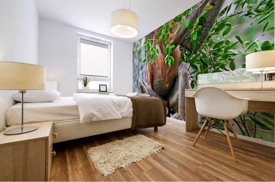 proboscis monkey in malaysia Mural print