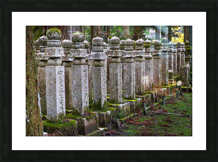 stone memorial stones inside the Okunoin background Picture Frame print
