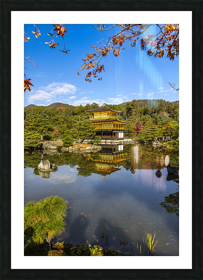 background of Kinkakuji temple  Picture Frame print