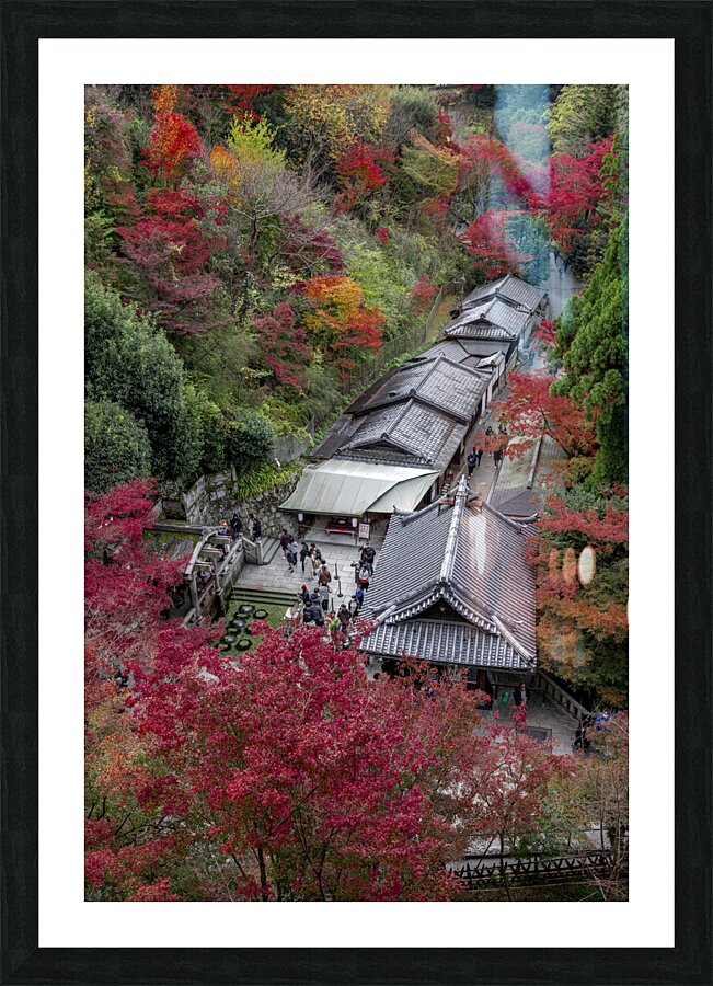 Top view of the kiyomizu dera temple spring Picture Frame print