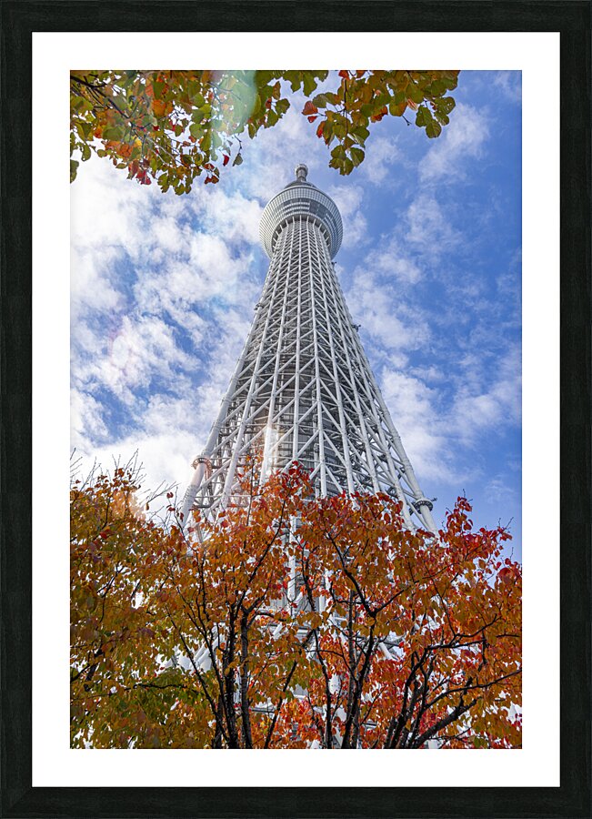 Tokyo Sky Tree  Picture Frame print