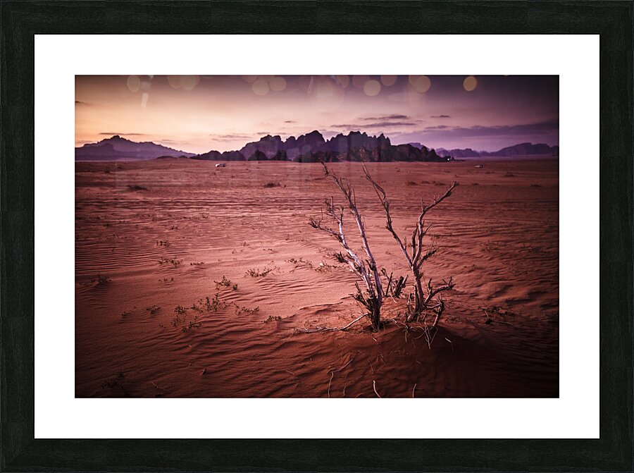 wadi rum at sunset Picture Frame print