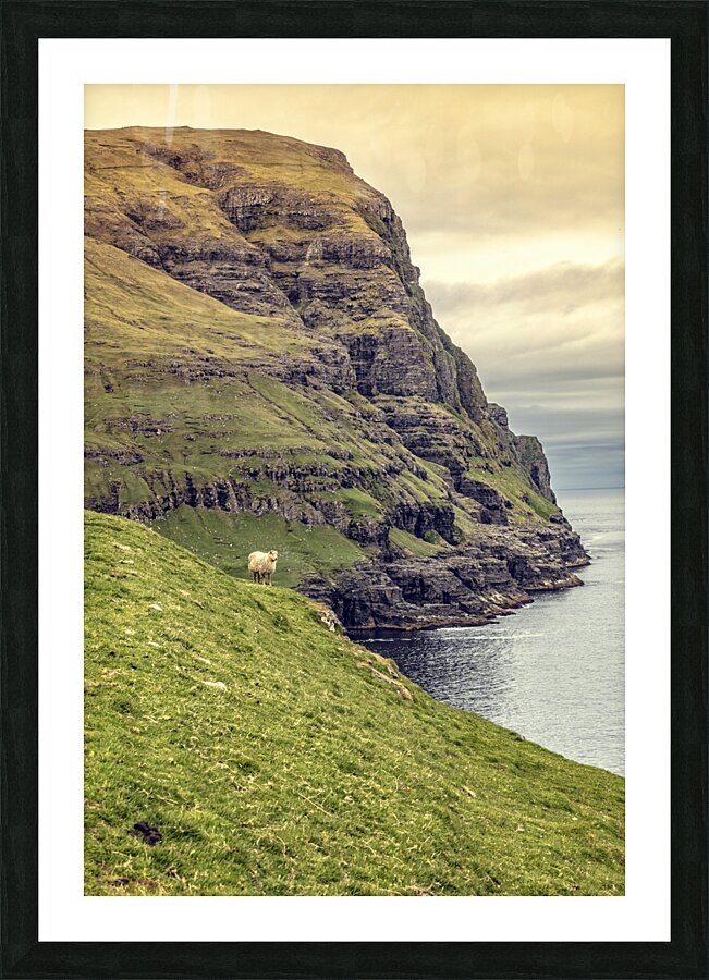 cliff view in faroe  Picture Frame print