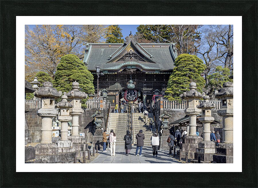  Fine Art print