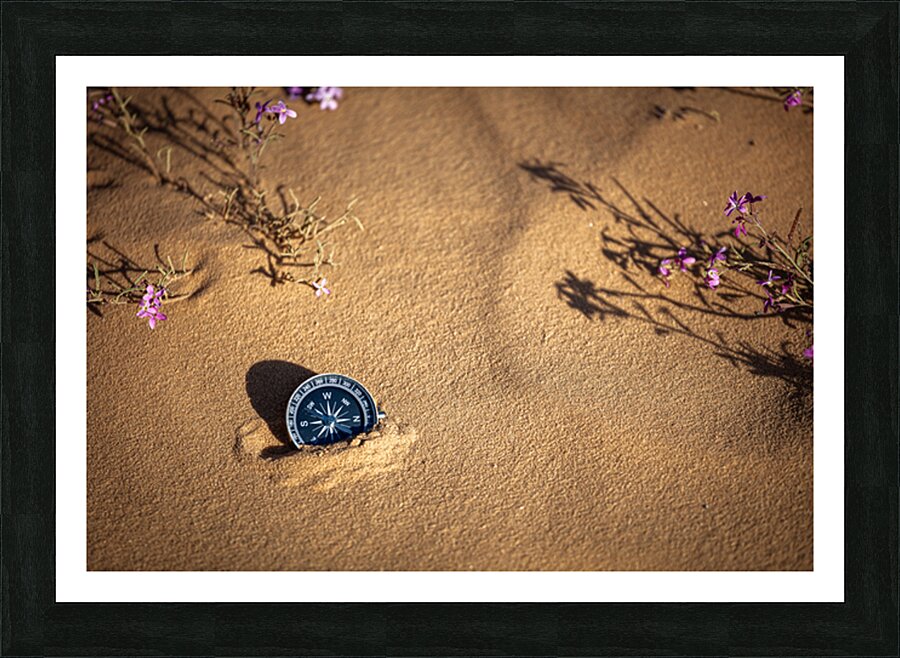  Fine Art print