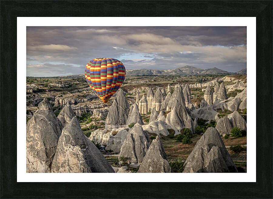  Fine Art print