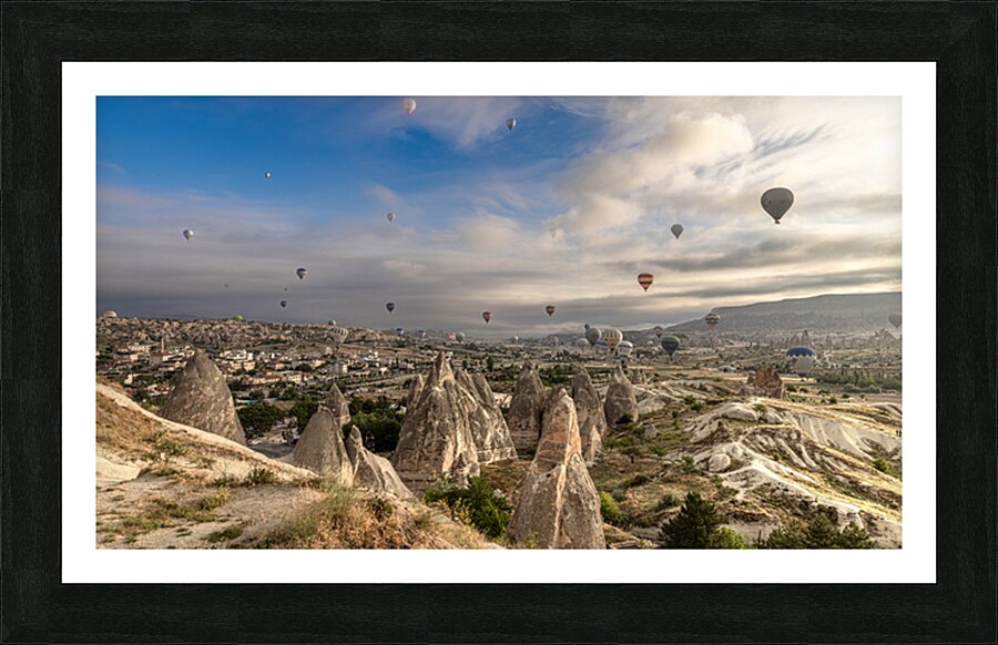  Fine Art print