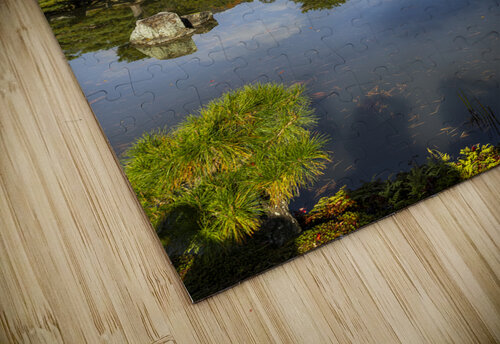 background of Kinkakuji temple  Gualtiero Boffi puzzle