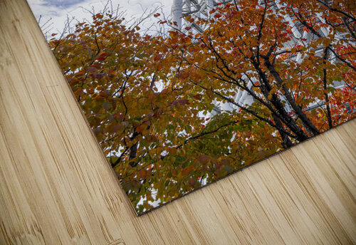 Tokyo Sky Tree  Gualtiero Boffi puzzle