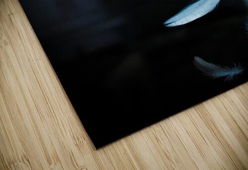 feathers fall background Gualtiero Boffi puzzle