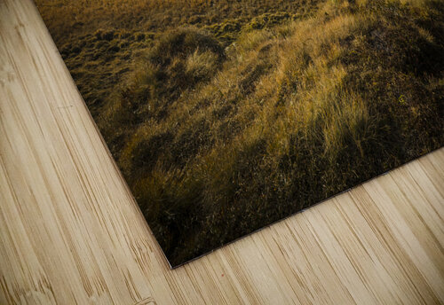 passo rolle view Gualtiero Boffi puzzle
