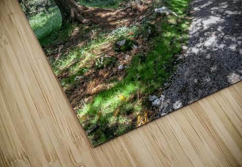 pathway in the forest Gualtiero Boffi puzzle