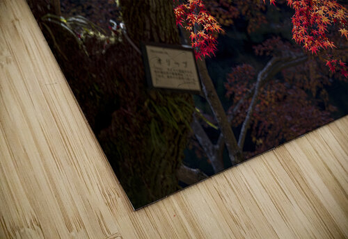 Red maple tree branch growing between two tree trunks in autumn Gualtiero Boffi puzzle