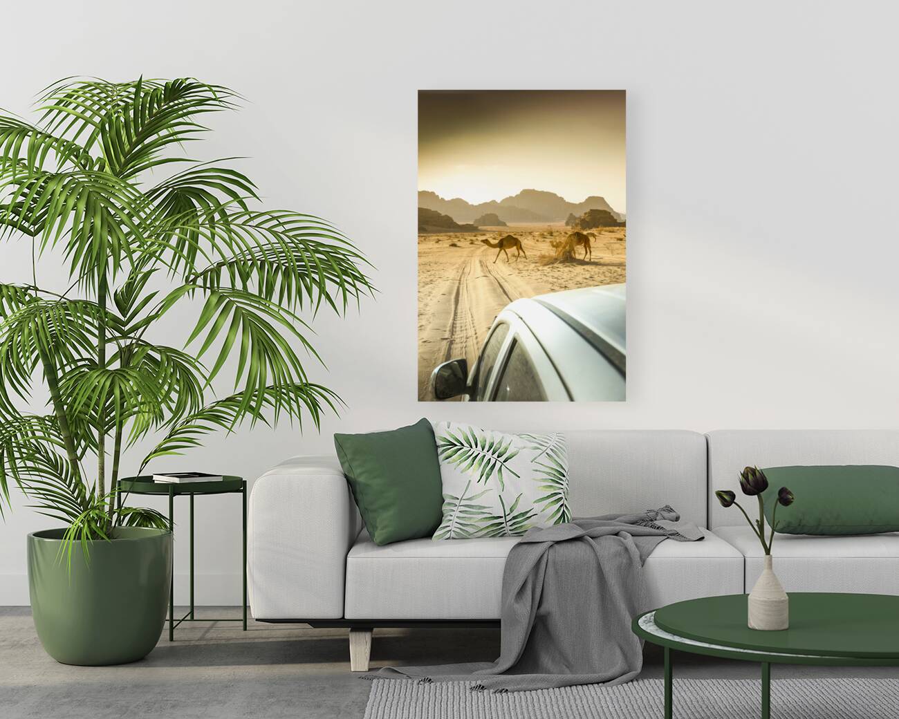 wandering camels background Reproduction