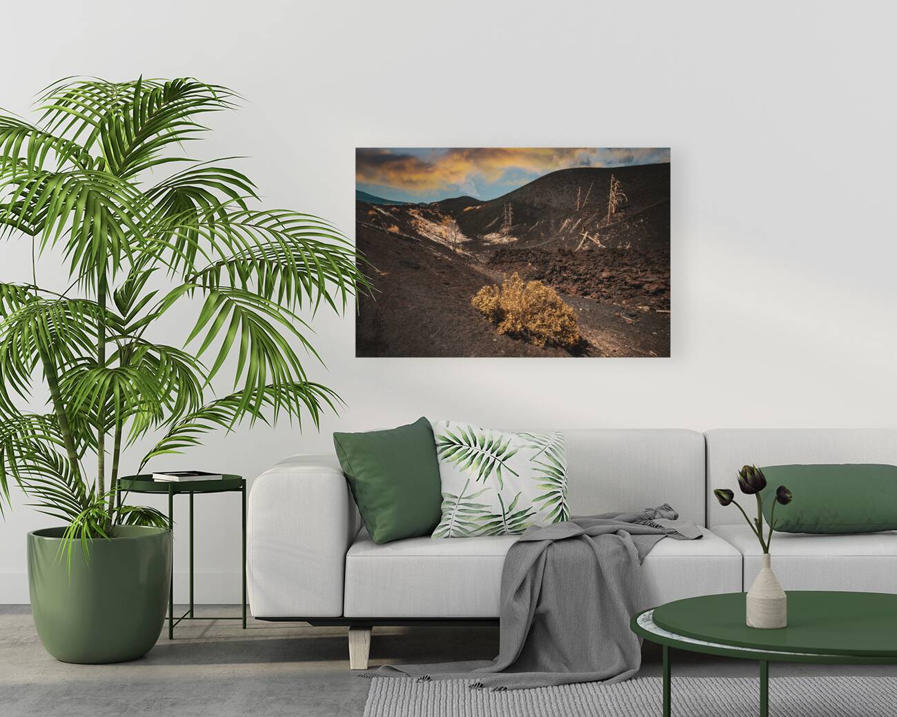 Dead trees on mount etna  Reproduction