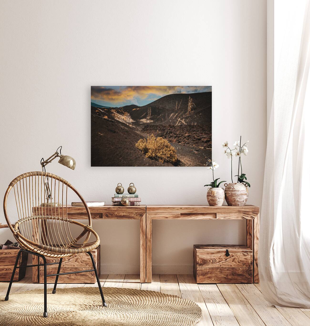 Dead trees on mount etna  Reproduction