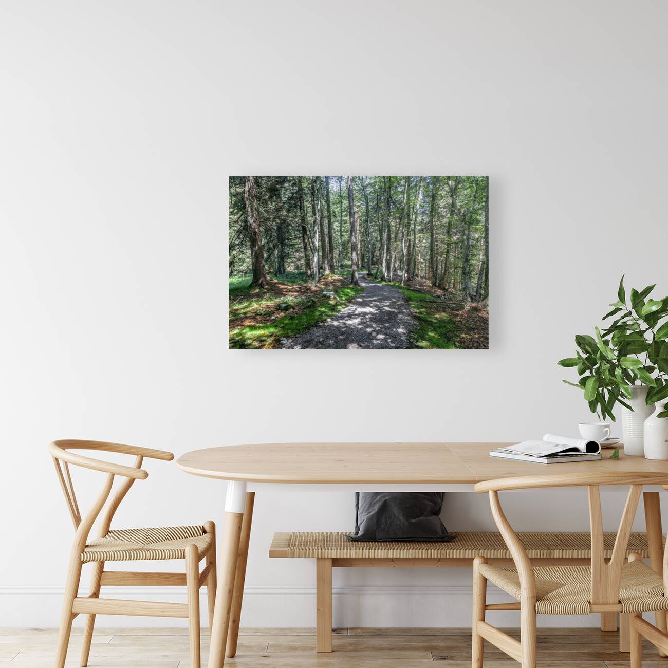 pathway in the forest Reproduction