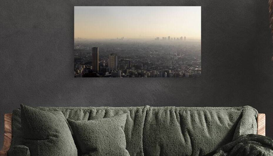 view of Tokyo at sunset from Shibuya sky by Gualtiero Boffi