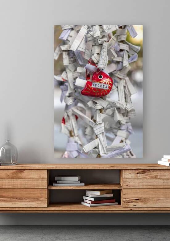 goldfish and omikuji knotted  by Gualtiero Boffi