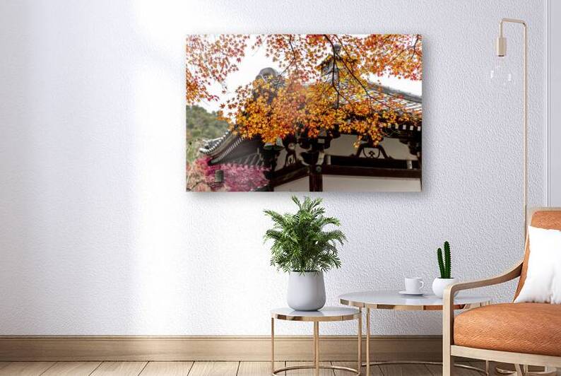 Japanese maple leaves in a temple garden  by Gualtiero Boffi