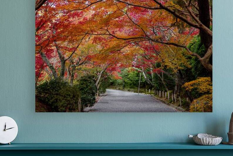 foliage in japan with red maples by Gualtiero Boffi
