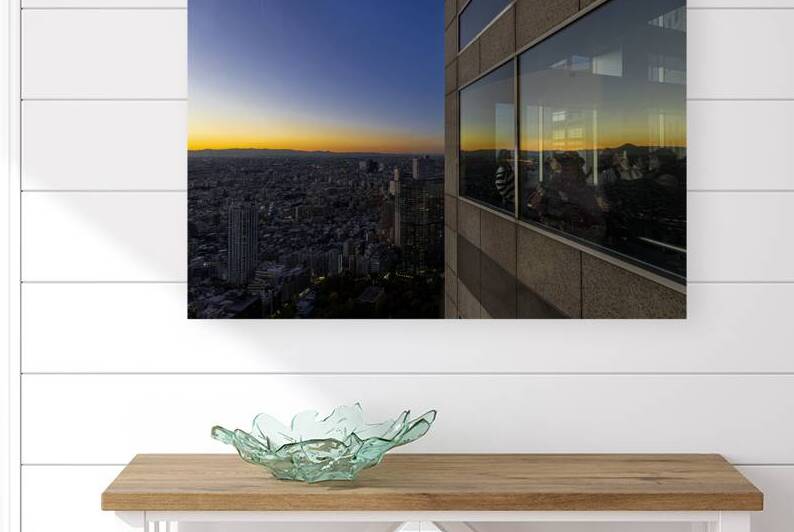 people observe the Tokyo cityscape from the government building by Gualtiero Boffi