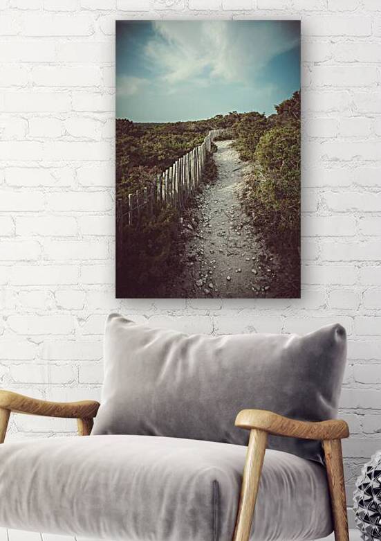 dirt road in bushes  by Gualtiero Boffi
