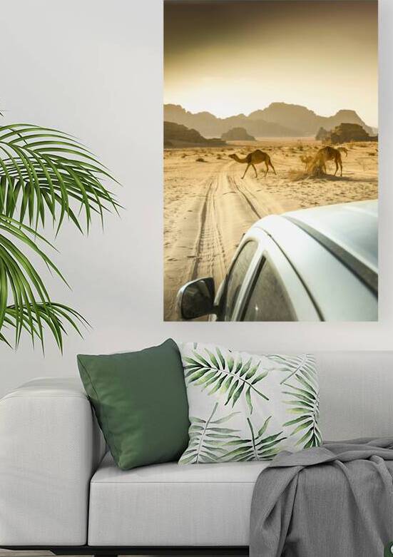 wandering camels background by Gualtiero Boffi