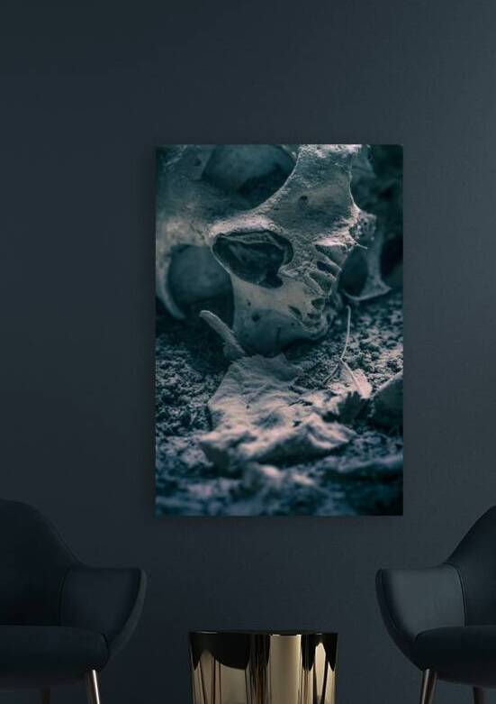 skull found in the ground by Gualtiero Boffi