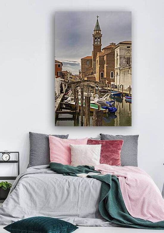 seagull in the canals of Chioggia in Italy by Gualtiero Boffi