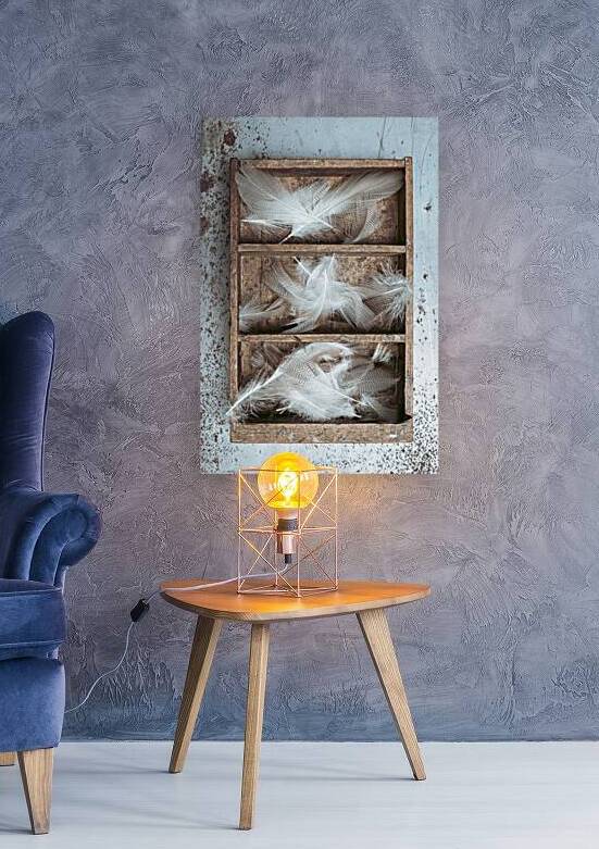 box with shelves and white feathers  by Gualtiero Boffi