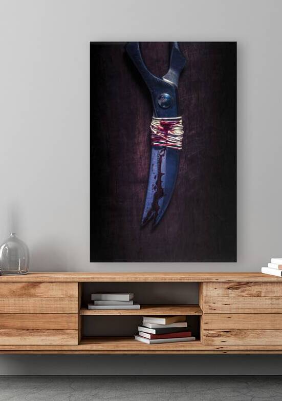 antique scissors bound in blood  by Gualtiero Boffi