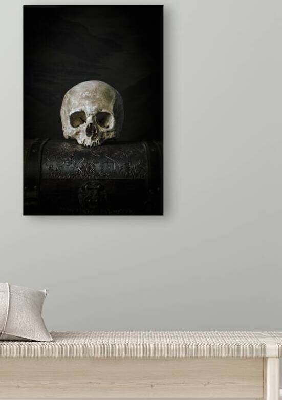 skull on old trunk  by Gualtiero Boffi
