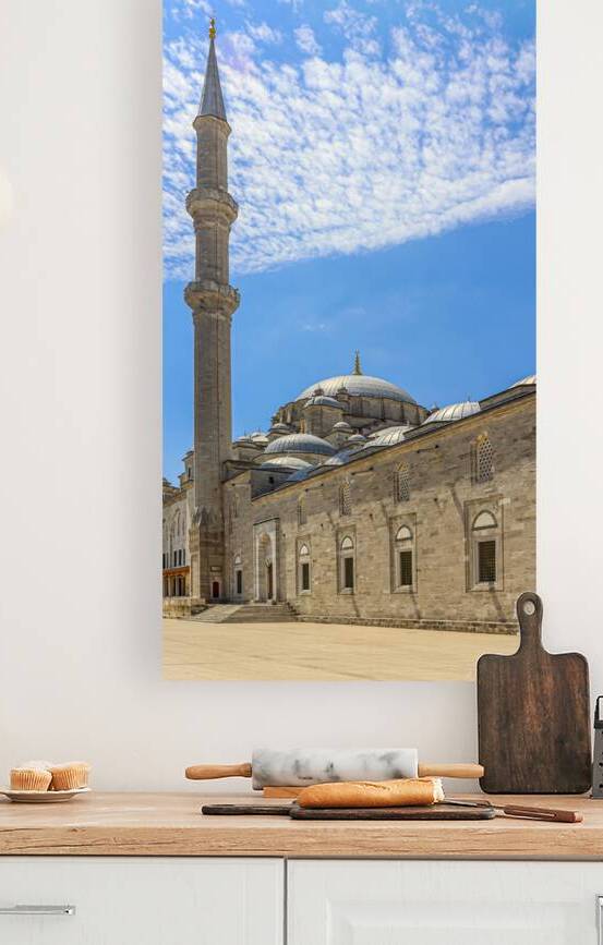 view of the blue mosque  by Gualtiero Boffi