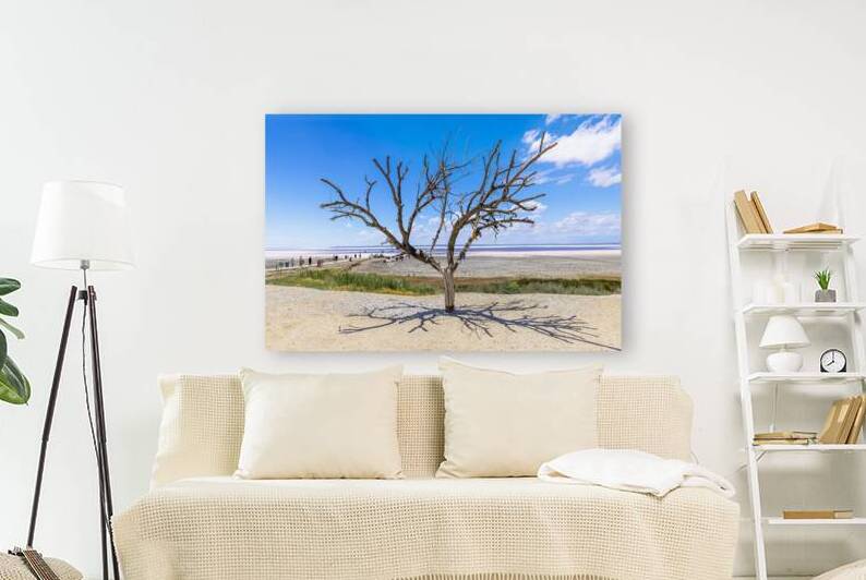 famous tree and tourists at the lake of tuz golu. by Gualtiero Boffi