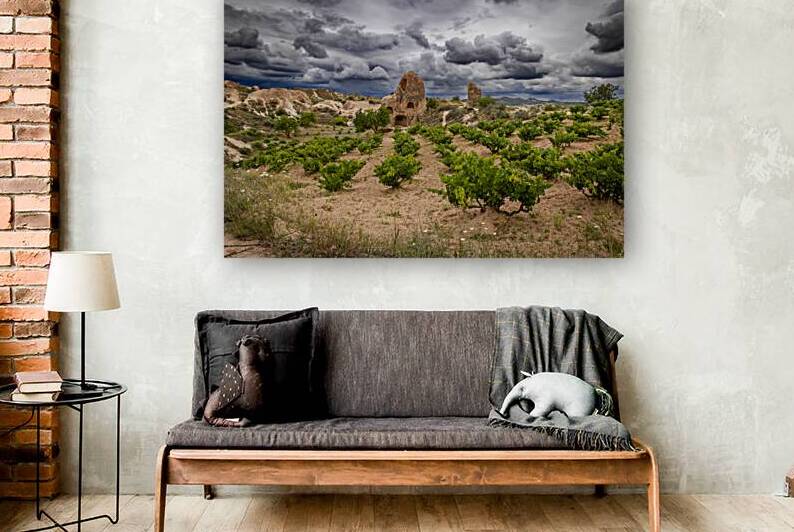 view of red valley in turkey with cloudy sky and building carved by Gualtiero Boffi