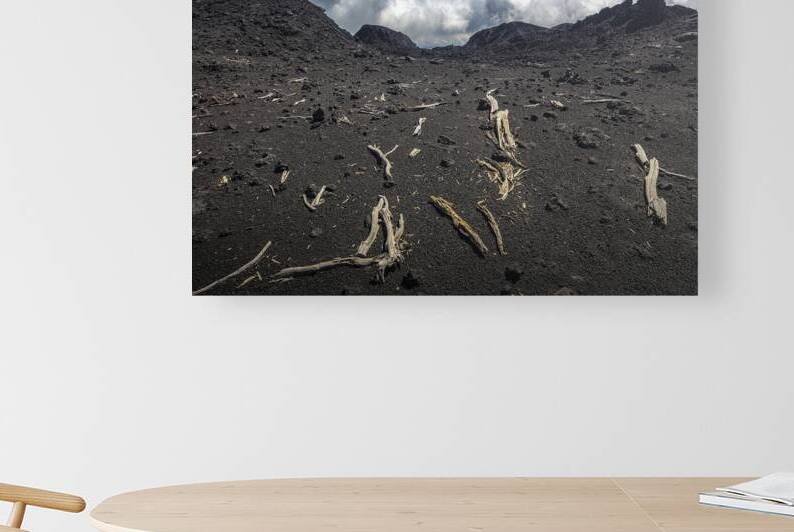 etna in Sicily by Gualtiero Boffi