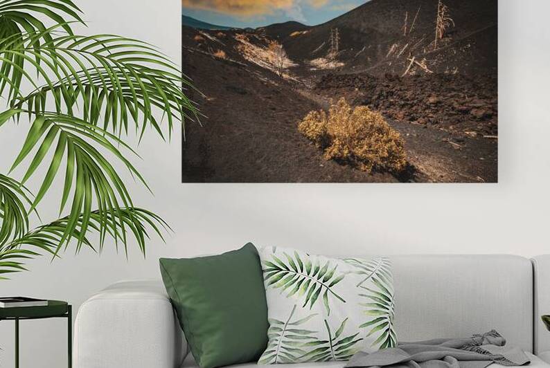 Dead trees on mount etna  by Gualtiero Boffi