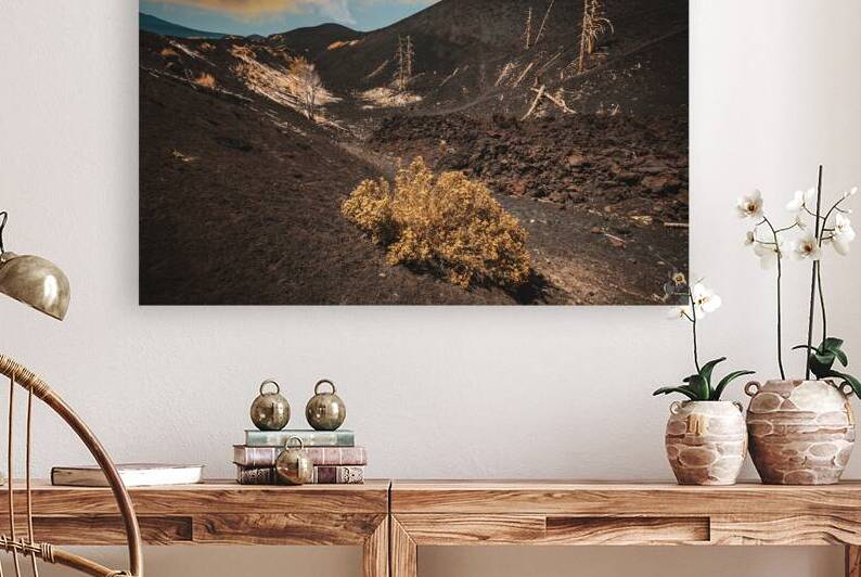 Dead trees on mount etna  by Gualtiero Boffi