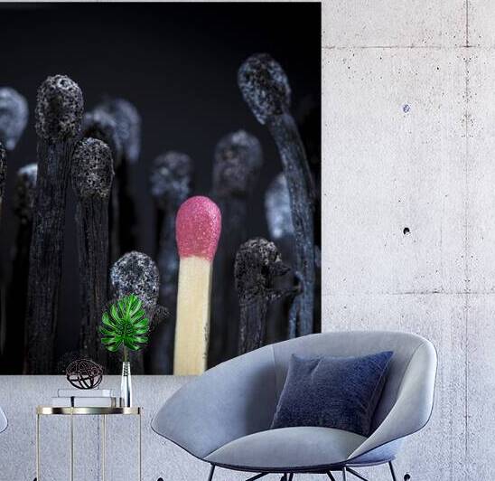 Burnt matches and match still intact. by Gualtiero Boffi