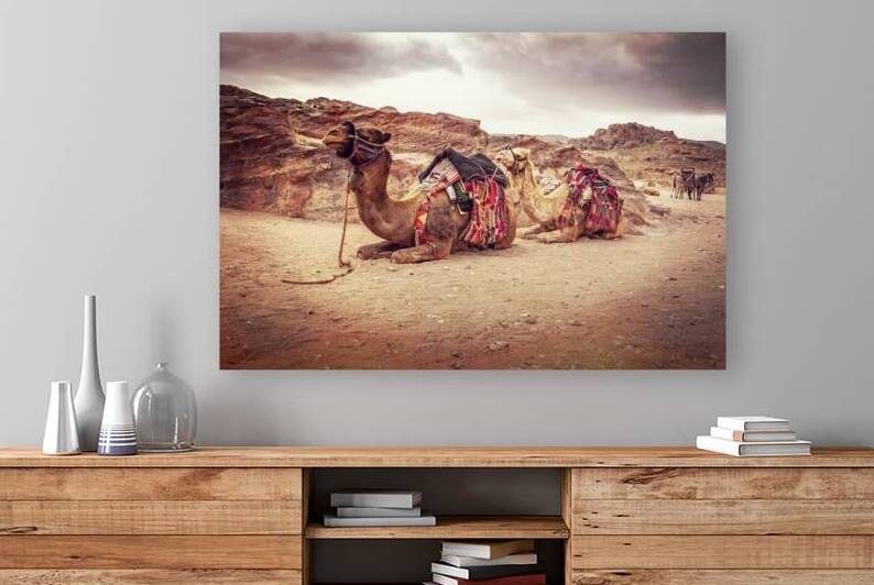 sit camels in wadi rum by Gualtiero Boffi