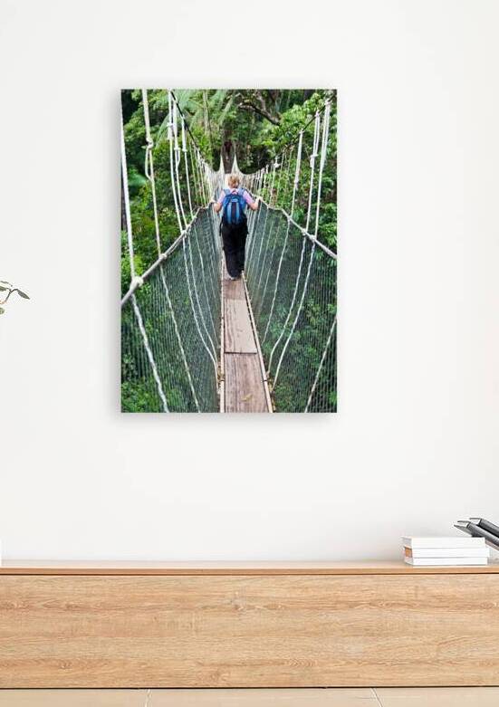 Canopy Walkway Borneo by Gualtiero Boffi