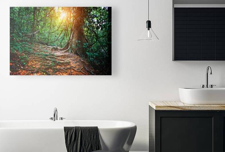 jungla in borneo by Gualtiero Boffi