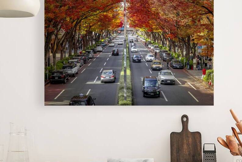 Traffic moving on road lined with trees showing autumn colors by Gualtiero Boffi