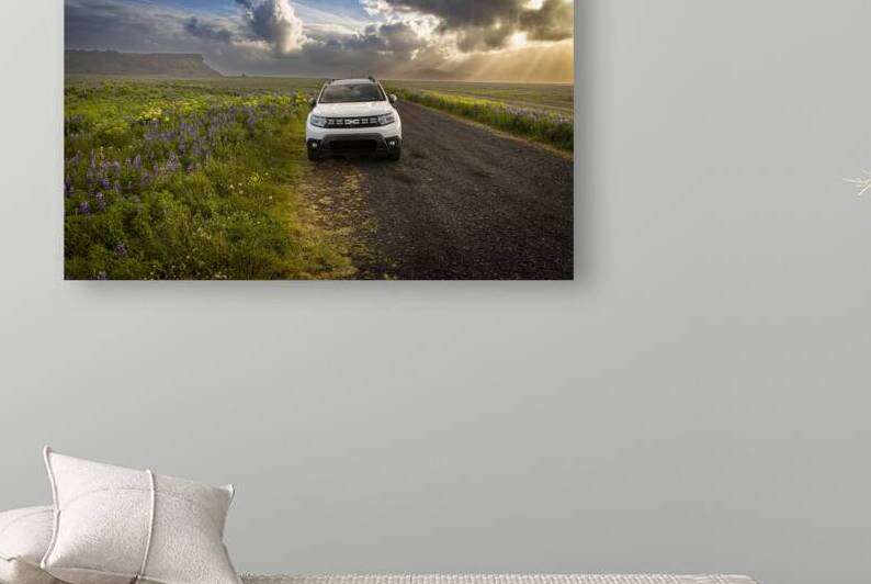 White suv driving on a gravel road in a field of flowers with dr by Gualtiero Boffi