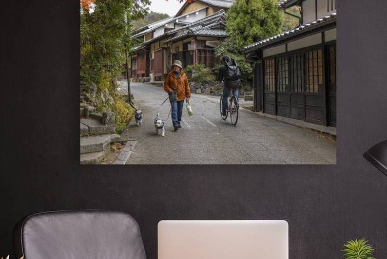 Senior woman walking dogs in picturesque japanese village by Gualtiero Boffi