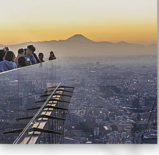 Tourists enjoying breathtaking sunset view over tokyo cityscape  by Gualtiero Boffi
